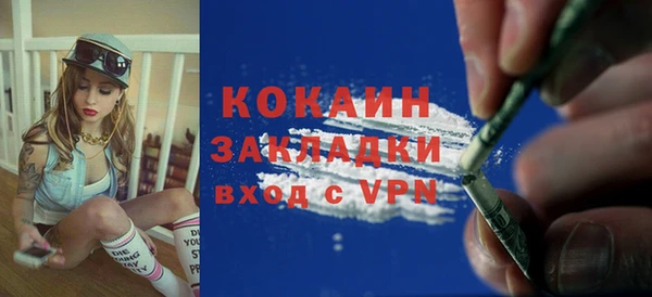 индика Белоозёрский