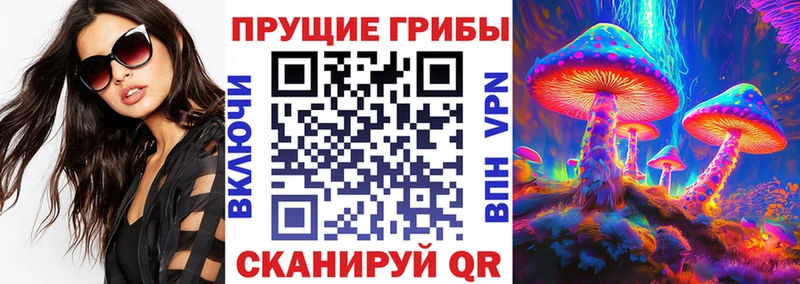 Псилоцибиновые грибы Psilocybe  наркотики  Кунгур 